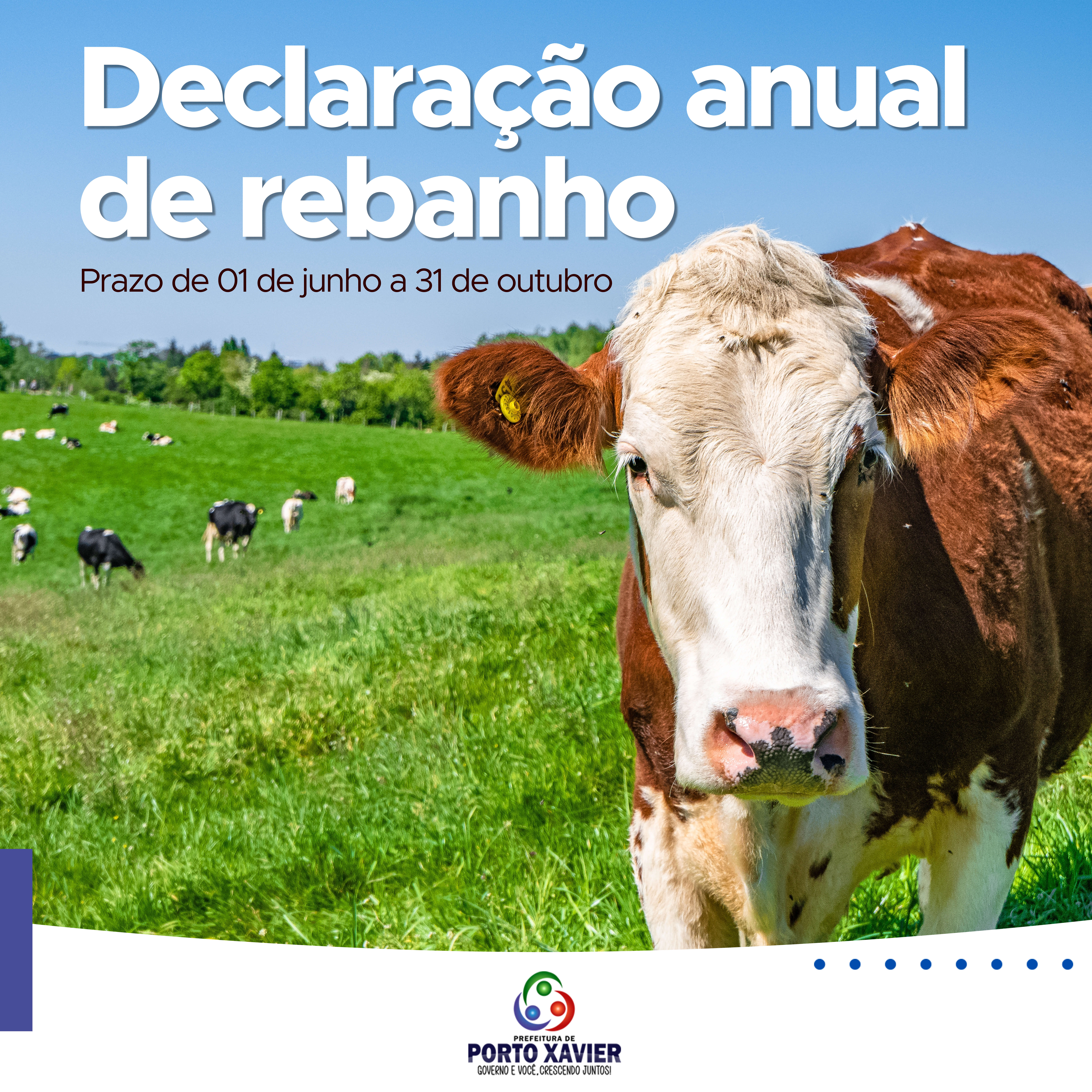 DECLARAÇÃO ANUAL DE REBANHO
